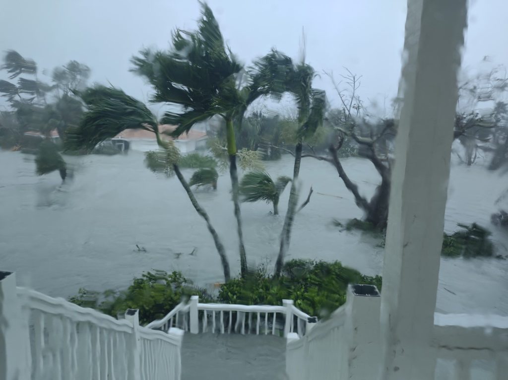 Hurricane damage Tampa FL